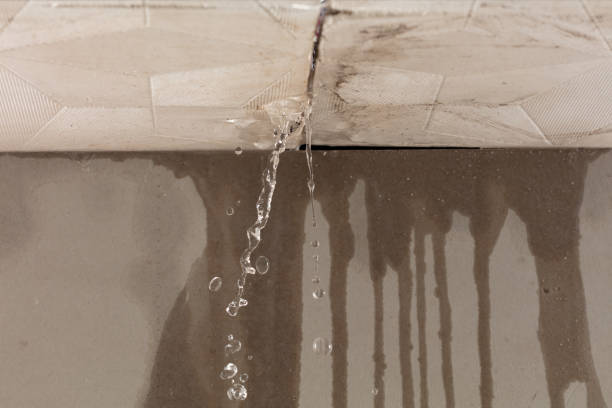 Professional Burst Pipe Cleanup technician working in Auburn, KY